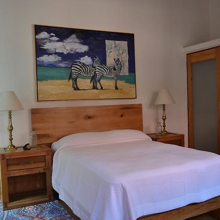 Hotel Casa Catalina San Luis Potosí Екстериор снимка