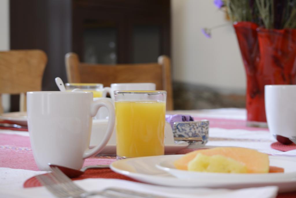 Hotel Casa Catalina San Luis Potosí Екстериор снимка