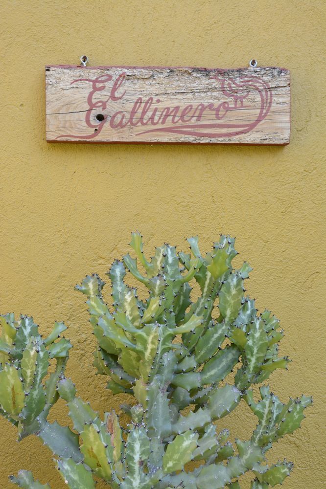 Hotel Casa Catalina San Luis Potosí Екстериор снимка