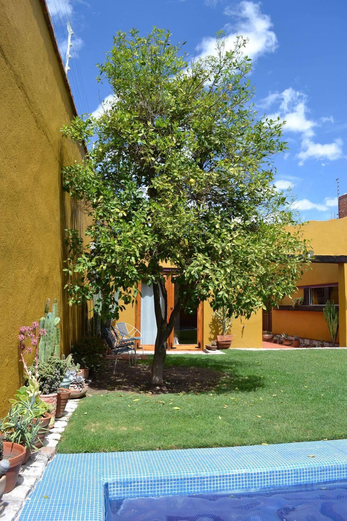 Hotel Casa Catalina San Luis Potosí Екстериор снимка